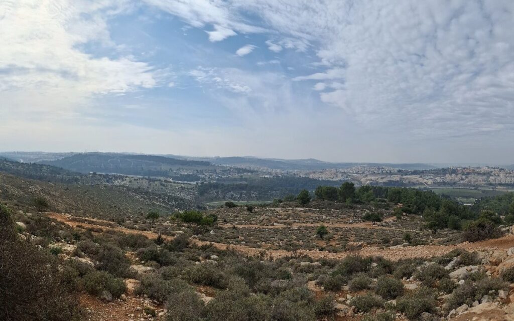 מבט פנורמי על בית שמש והגבעות שממזרח לעיר